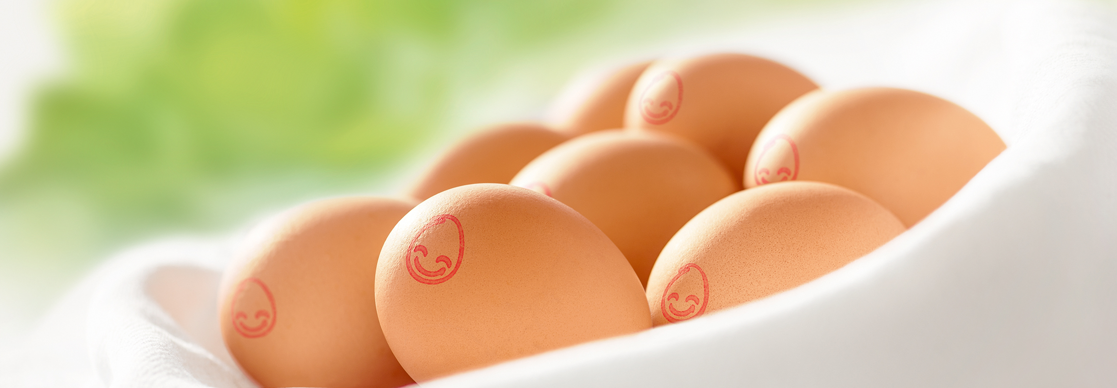 PEGGYS-Composing-2300x800px