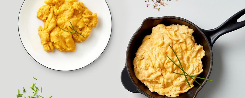 EIPRO-Website-Aktuelles-noegg+SR-1000x400px