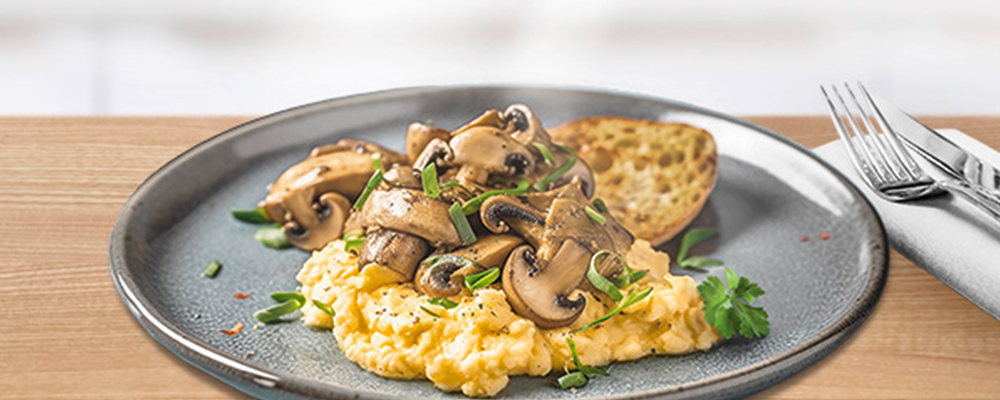 EIPRO-News-1000x400px-SR-mit-Pilzen