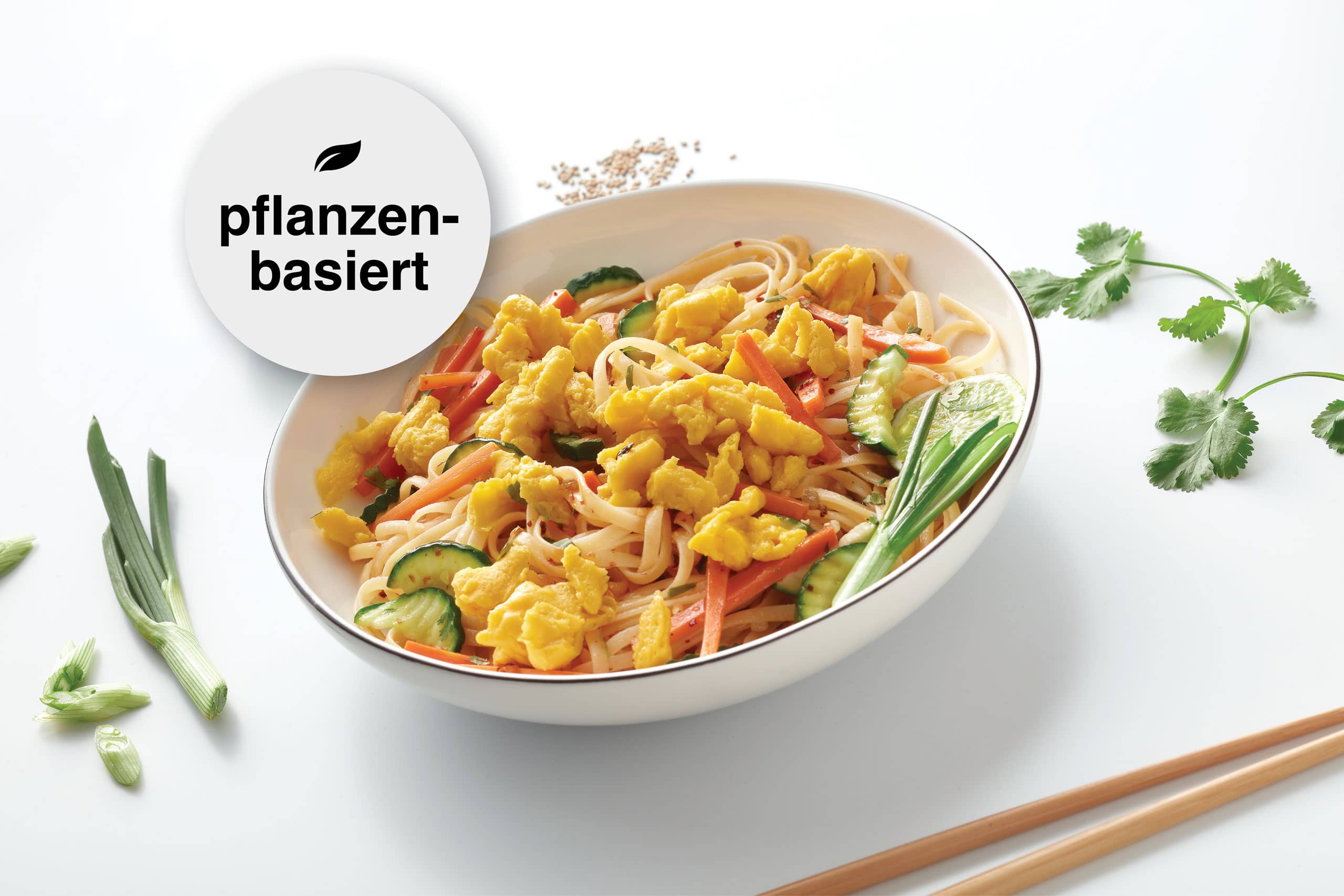 Eipro-Vegane-Asia-Nudeln-web